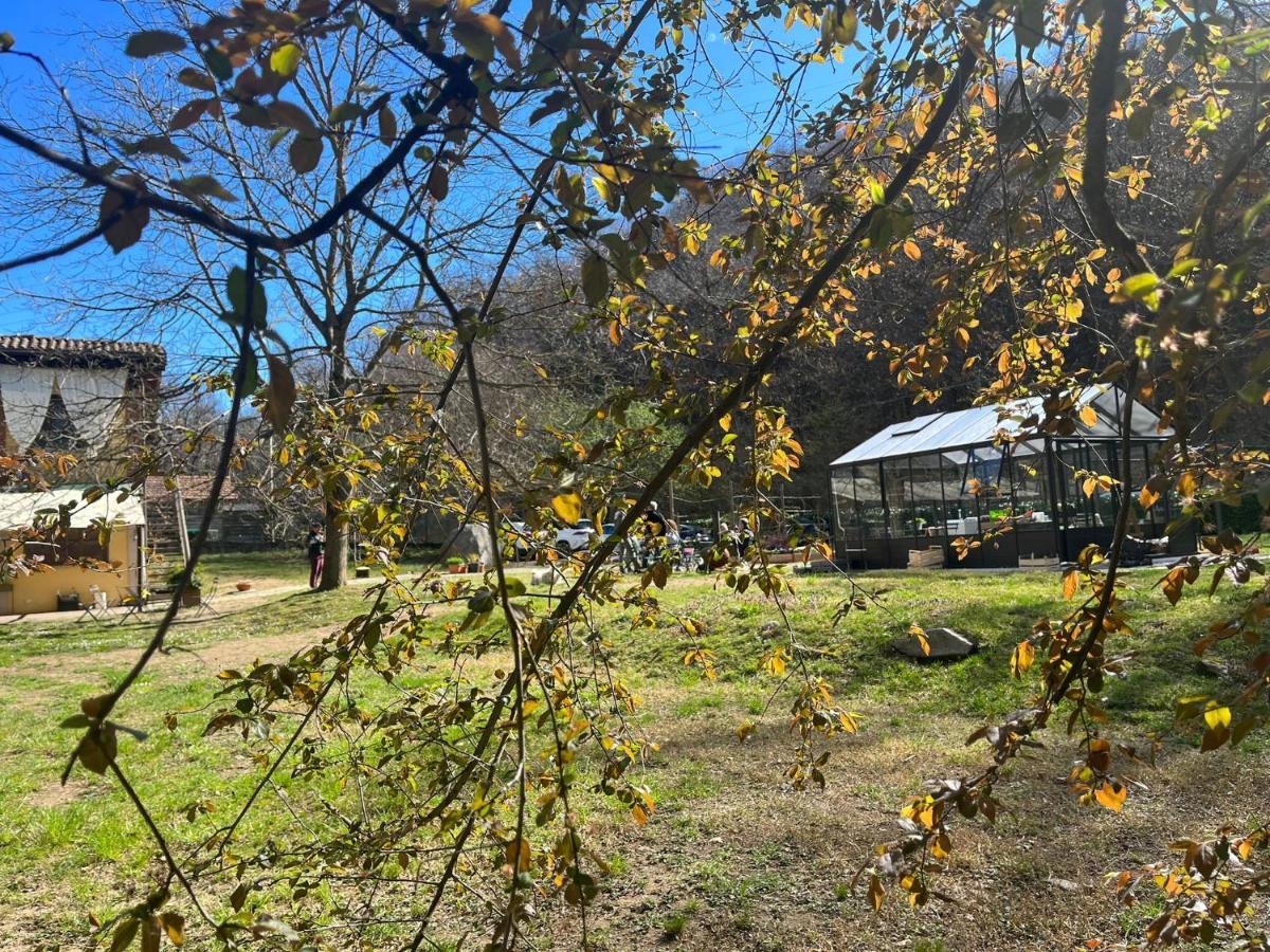 Agriturismo Biomatto Arona Dış mekan fotoğraf
