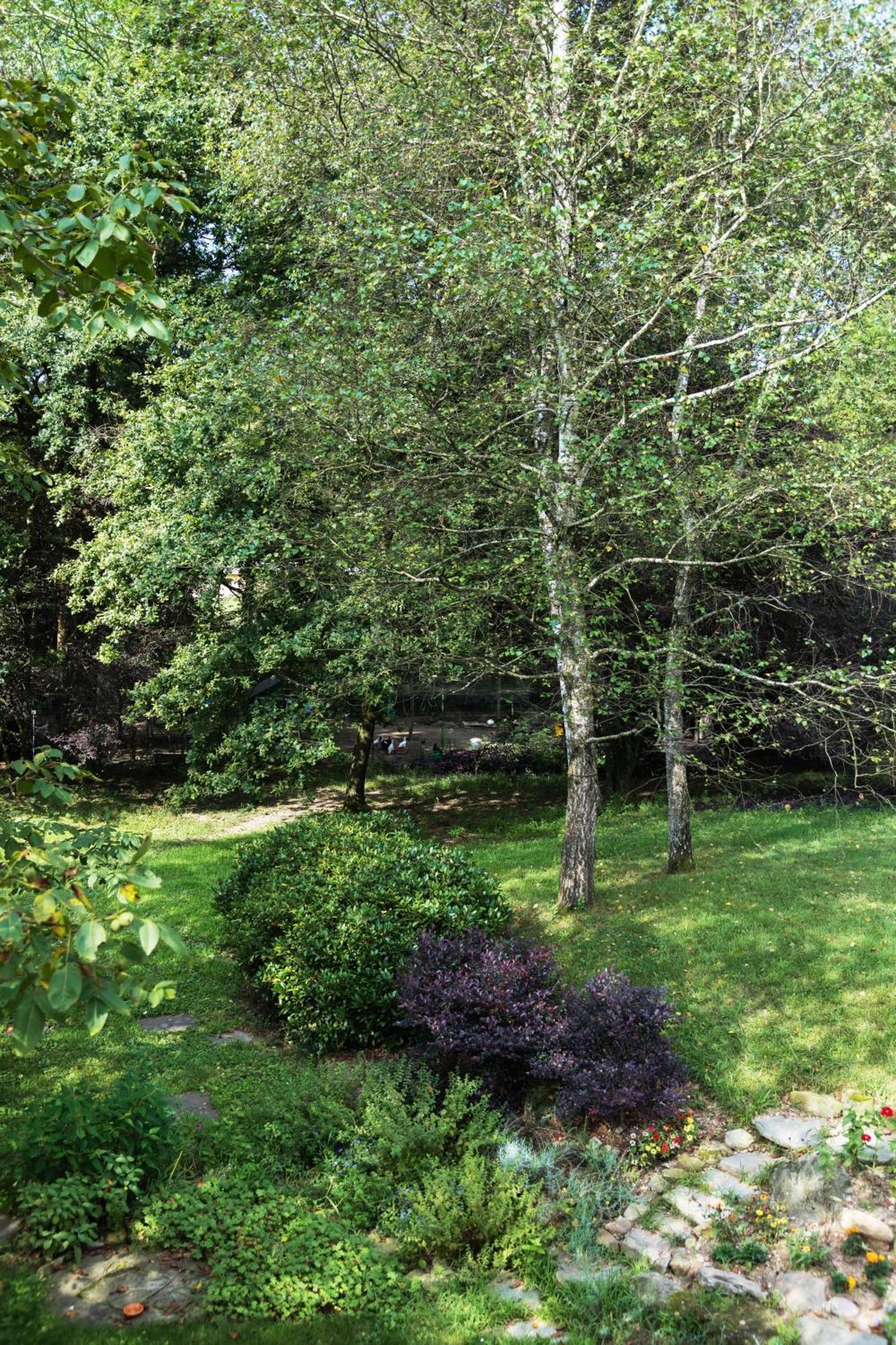 Agriturismo Biomatto Arona Dış mekan fotoğraf